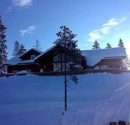 Flott Utleiehytte Pa Gautefall Treungen Екстер'єр фото