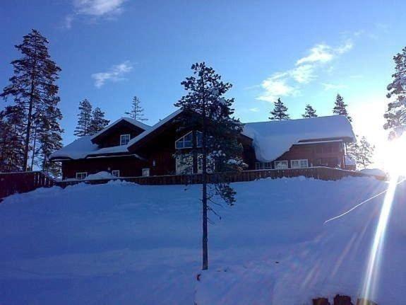 Flott Utleiehytte Pa Gautefall Treungen Екстер'єр фото